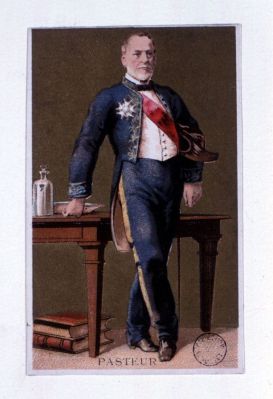 Veuillez patienter...