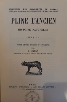 Veuillez patienter...