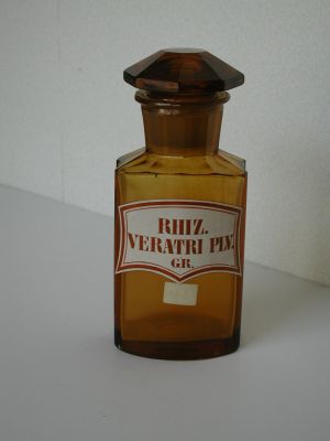 Veuillez patienter...