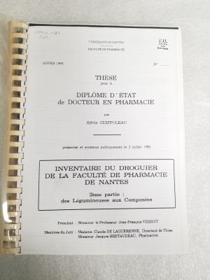 Veuillez patienter...