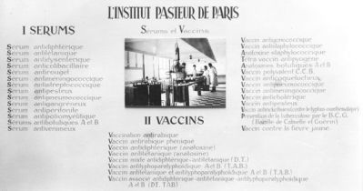 Veuillez patienter...