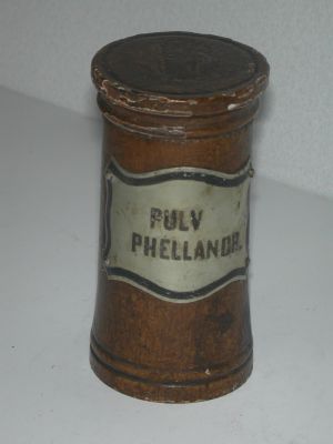 Veuillez patienter...