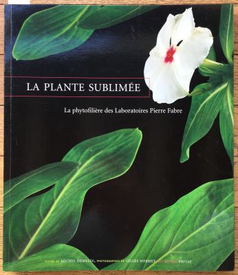 Veuillez patienter...