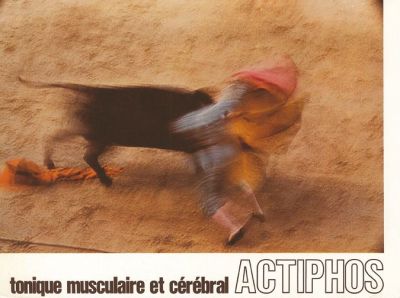 Veuillez patienter...