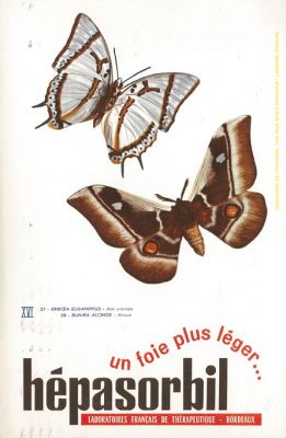 Veuillez patienter...