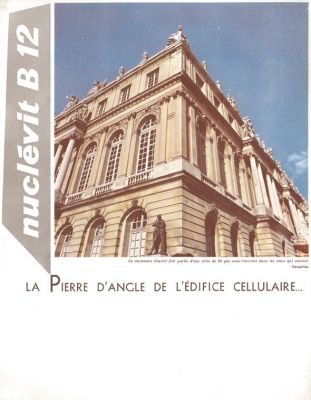 Veuillez patienter...