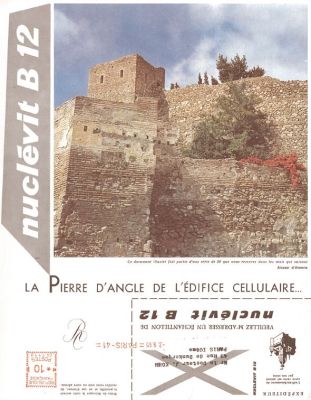Veuillez patienter...