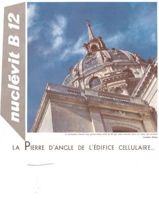 Veuillez patienter...