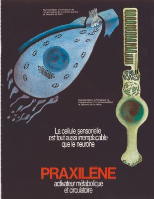 Veuillez patienter...