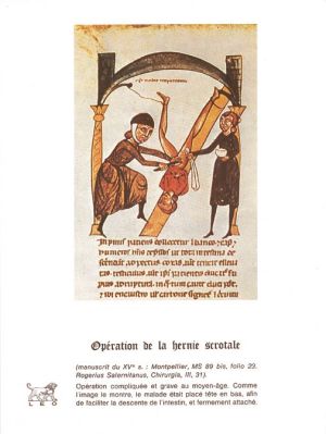 Veuillez patienter...