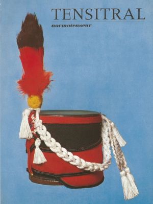 Veuillez patienter...