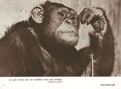 Veuillez patienter...