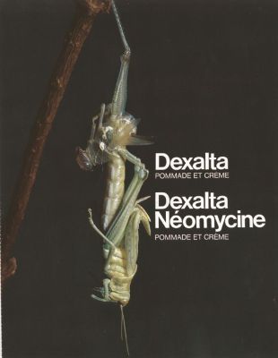Veuillez patienter...