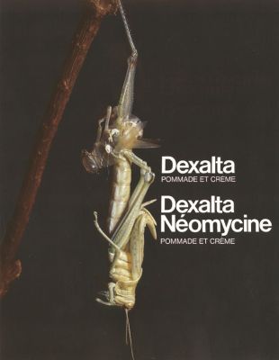Veuillez patienter...