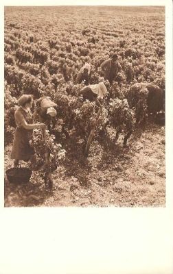 Veuillez patienter...