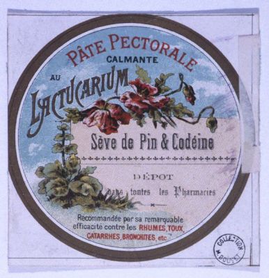 Veuillez patienter...