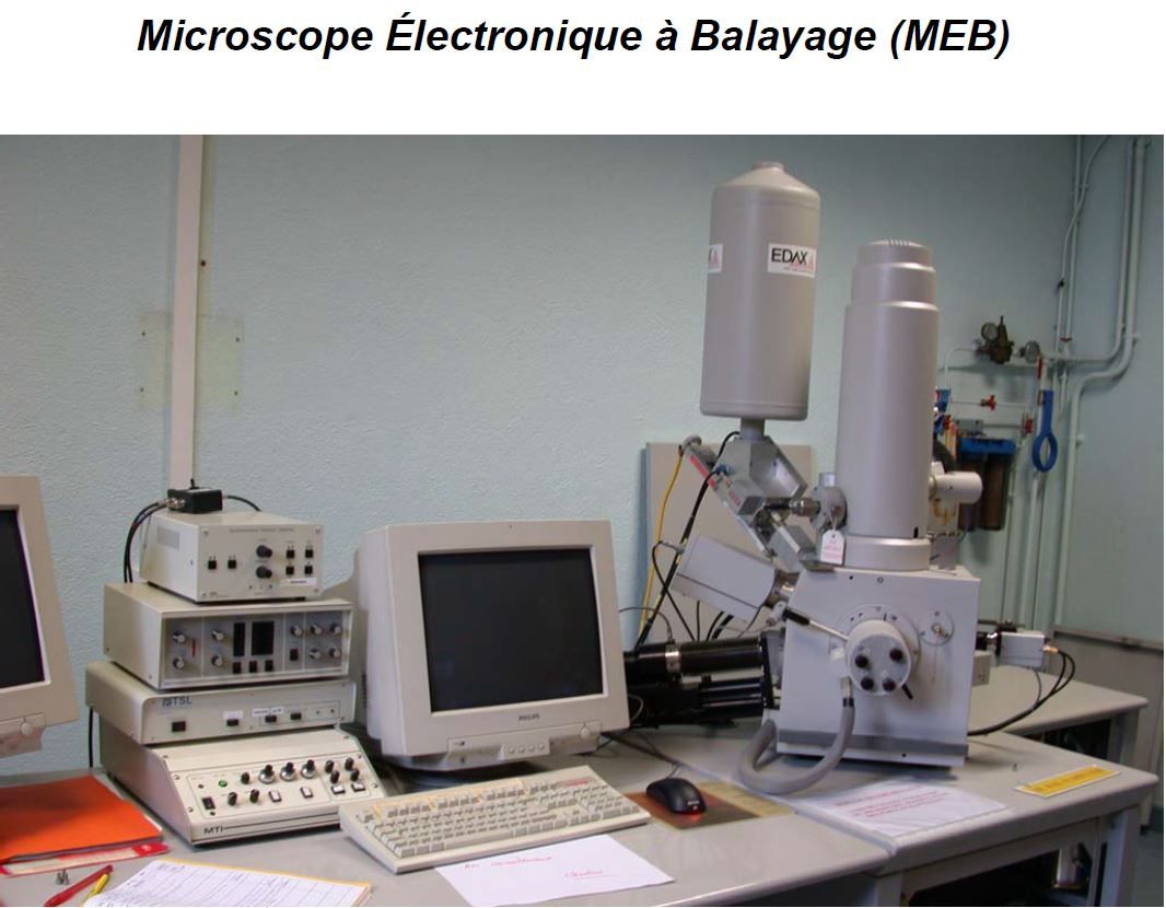 Microscope Electronique à Balayage