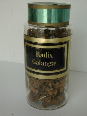 Veuillez patienter...