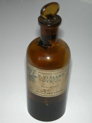 Veuillez patienter...