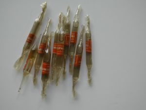 DSCN7373.JPG