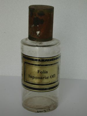 Veuillez patienter...