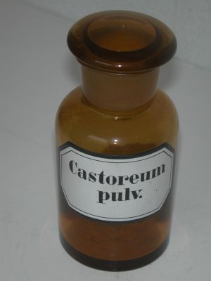 Veuillez patienter...