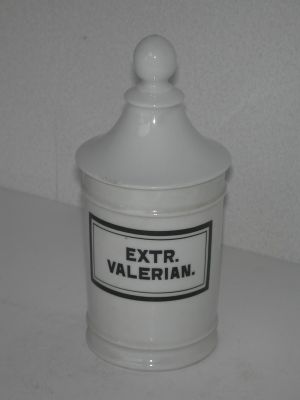 Veuillez patienter...