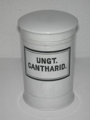Veuillez patienter...