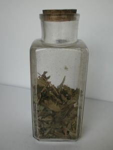 DSCN8680.JPG