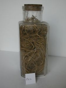 DSCN8726.JPG