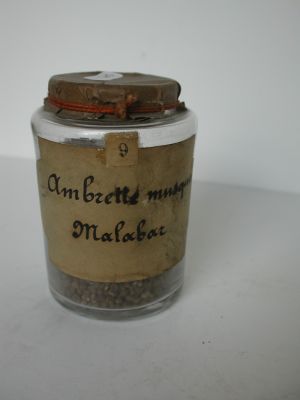 Veuillez patienter...