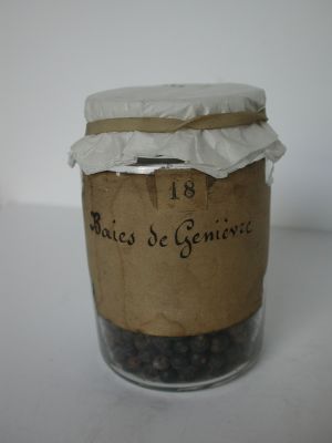 Veuillez patienter...