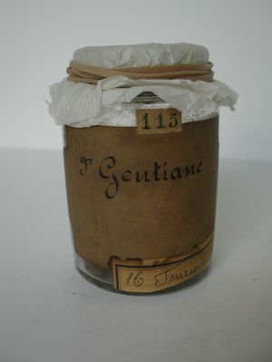 Veuillez patienter...