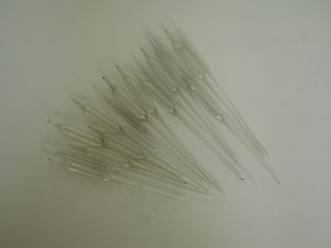 DSCN8901.JPG