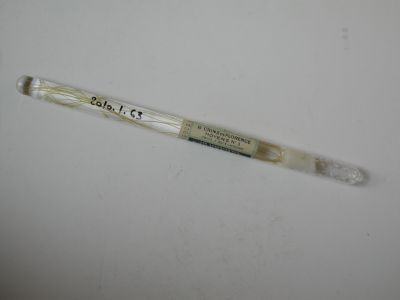 Veuillez patienter...