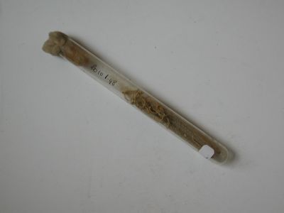 Veuillez patienter...