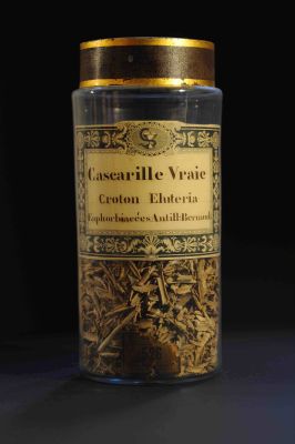 Veuillez patienter...