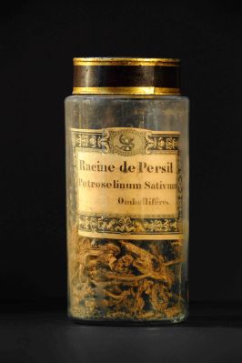 Veuillez patienter...