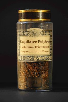 Veuillez patienter...