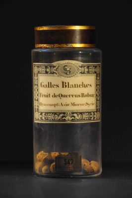 Veuillez patienter...