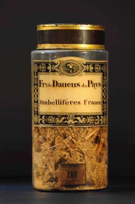 Veuillez patienter...