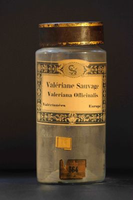 Veuillez patienter...
