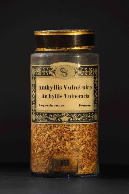 Veuillez patienter...