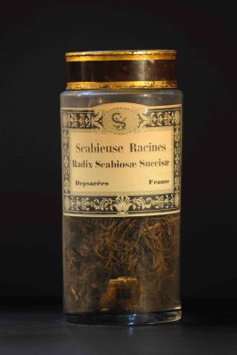 Veuillez patienter...
