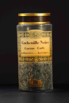 Veuillez patienter...