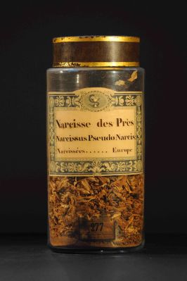 Veuillez patienter...