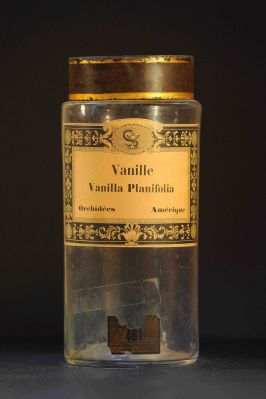 Veuillez patienter...