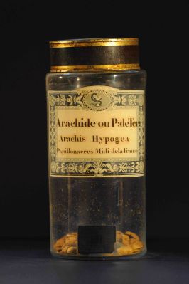 Veuillez patienter...