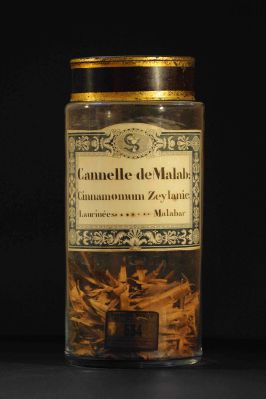 Veuillez patienter...