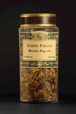 Veuillez patienter...